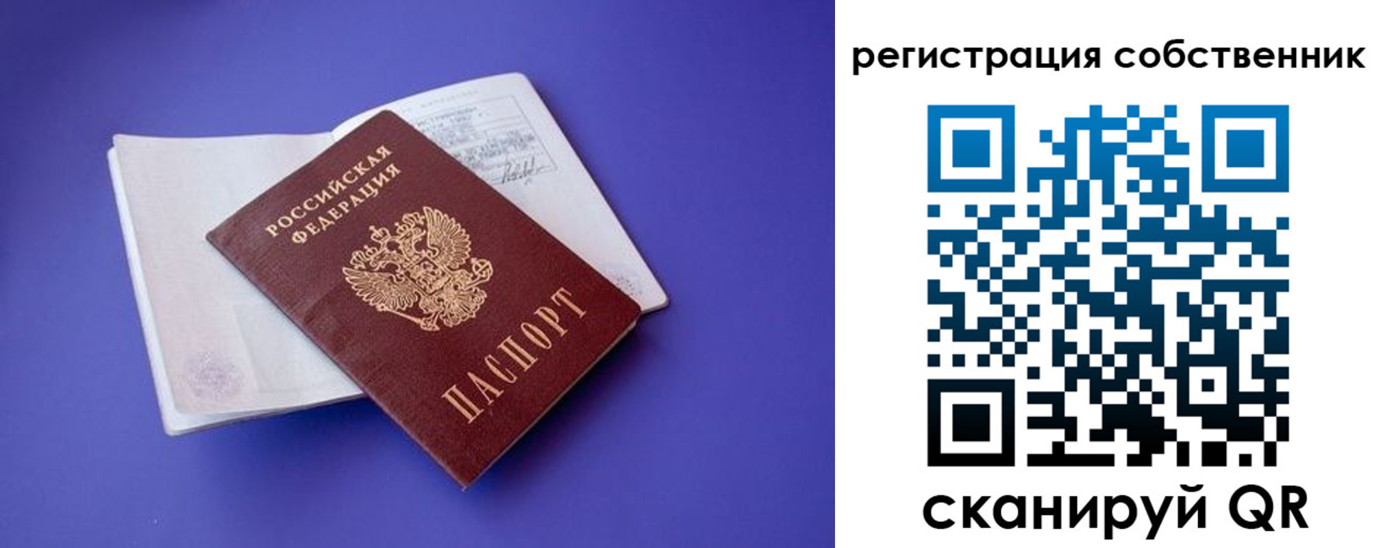 прописка штамп в Красноармейске